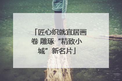 匠心织就宜居画卷 雕琢“精致小城”新名片