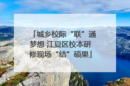 城乡校际“联”通梦想 江夏区校本研修现场“结”硕果