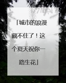 城市的浪漫藏不住了！这个夏天祝你一路生花