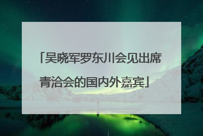 吴晓军罗东川会见出席青洽会的国内外嘉宾