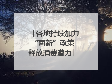 各地持续加力“两新”政策 释放消费潜力
