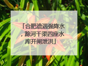 合肥遭遇强降水，滁河干渠四座水库开闸泄洪