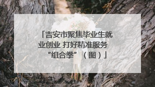 吉安市聚焦毕业生就业创业 打好精准服务“组合拳”（图）
