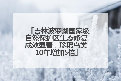 吉林波罗湖国家级自然保护区生态修复成效显著，珍稀鸟类10年增加5倍