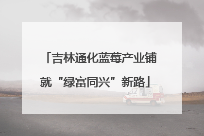 吉林通化蓝莓产业铺就“绿富同兴”新路