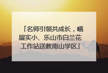 名师引领共成长，峨眉实小、乐山市白兰花工作站送教南山学区