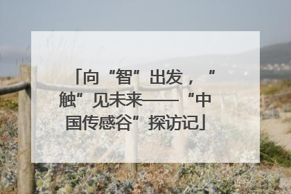 向“智”出发，“触”见未来——“中国传感谷”探访记