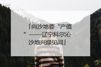 向沙地要“产值”——辽宁科尔沁沙地兴绿见闻