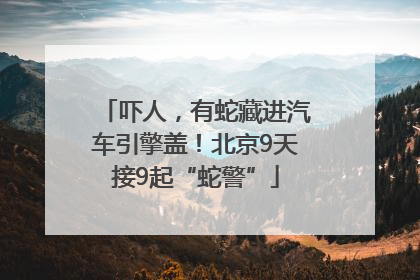 吓人，有蛇藏进汽车引擎盖！北京9天接9起“蛇警”