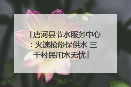 唐河县节水服务中心：火速抢修保供水 三千村民用水无忧