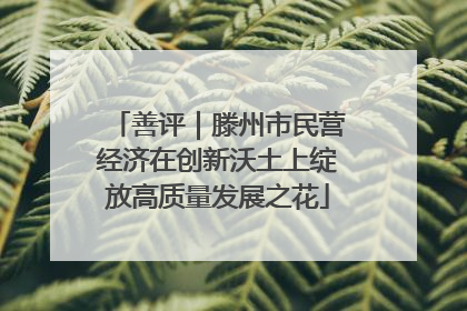 善评｜滕州市民营经济在创新沃土上绽放高质量发展之花