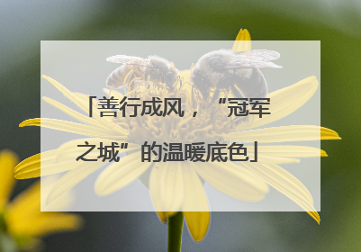善行成风，“冠军之城”的温暖底色