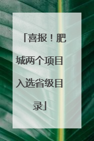 喜报！肥城两个项目入选省级目录