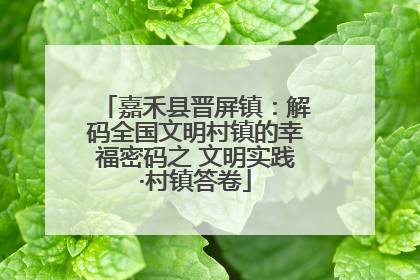 嘉禾县晋屏镇：解码全国文明村镇的幸福密码之 文明实践·村镇答卷