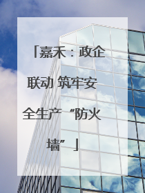 嘉禾：政企联动 筑牢安全生产“防火墙”