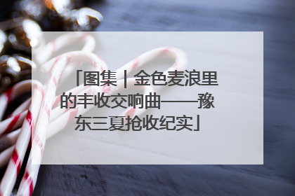 图集｜金色麦浪里的丰收交响曲——豫东三夏抢收纪实