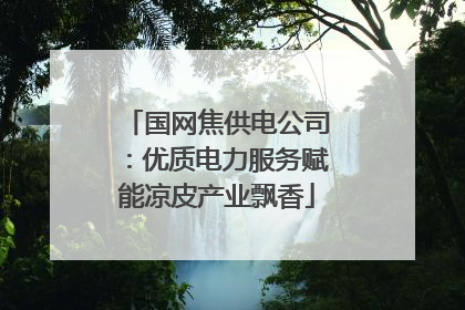 国网焦供电公司：优质电力服务赋能凉皮产业飘香
