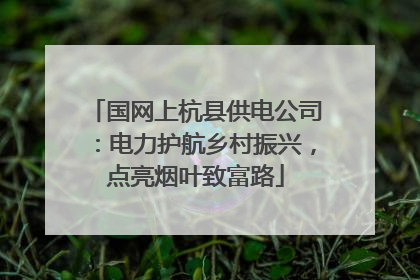国网上杭县供电公司：电力护航乡村振兴，点亮烟叶致富路