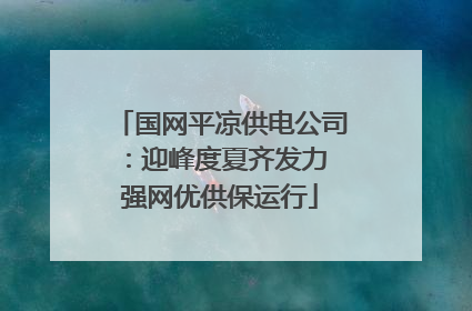 国网平凉供电公司：迎峰度夏齐发力 强网优供保运行