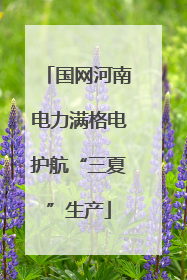 国网河南电力满格电护航“三夏”生产