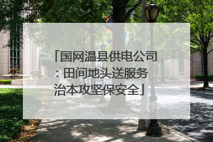 国网温县供电公司：田间地头送服务 治本攻坚保安全
