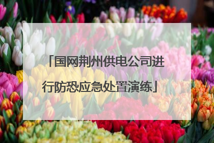 国网荆州供电公司进行防恐应急处置演练