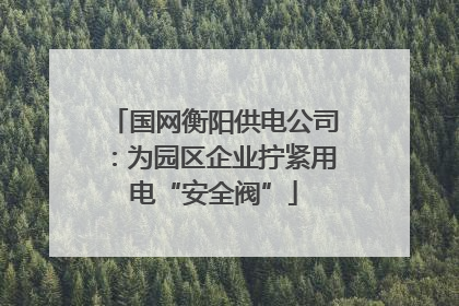国网衡阳供电公司：为园区企业拧紧用电“安全阀”