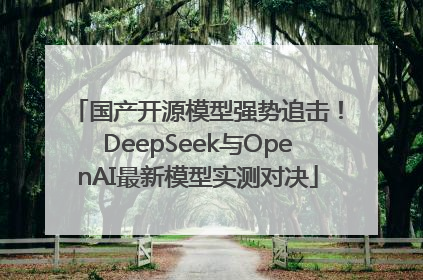 国产开源模型强势追击！DeepSeek与OpenAI最新模型实测对决