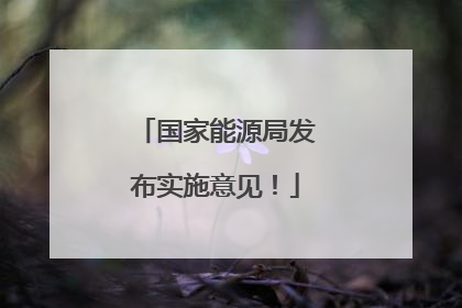 国家能源局发布实施意见！