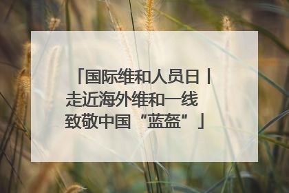国际维和人员日丨走近海外维和一线 致敬中国“蓝盔”