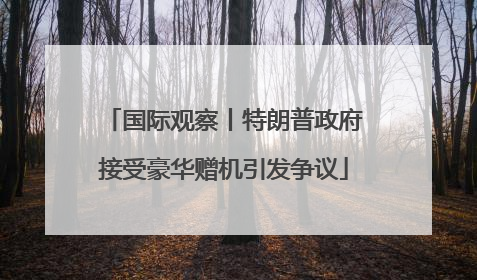 国际观察丨特朗普政府接受豪华赠机引发争议