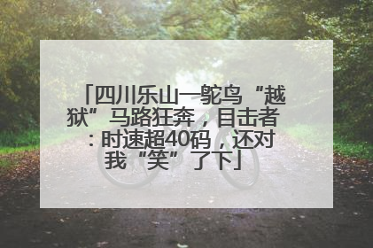 四川乐山一鸵鸟“越狱”马路狂奔，目击者：时速超40码，还对我“笑”了下