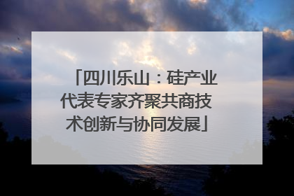 四川乐山：硅产业代表专家齐聚共商技术创新与协同发展