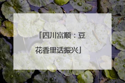 四川富顺：豆花香里话振兴