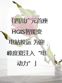 四川广元首座HGIS智能变电站投运 为迎峰度夏注入“电动力”