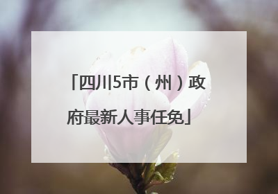 四川5市（州）政府最新人事任免