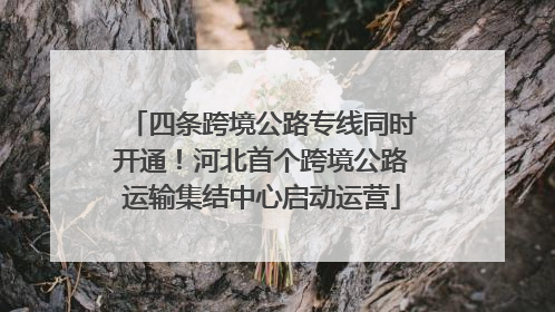 四条跨境公路专线同时开通！河北首个跨境公路运输集结中心启动运营