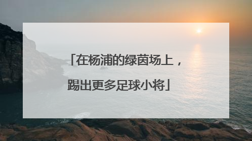 在杨浦的绿茵场上，踢出更多足球小将