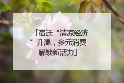 宿迁“清凉经济”升温，多元消费解锁新活力