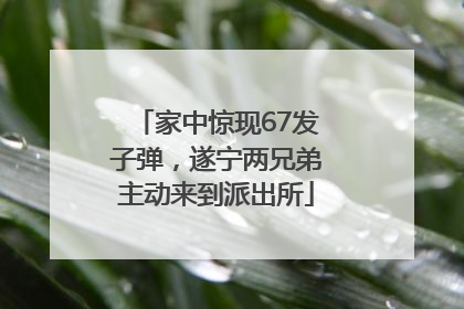 家中惊现67发子弹，遂宁两兄弟主动来到派出所