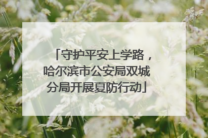 守护平安上学路，哈尔滨市公安局双城分局开展夏防行动
