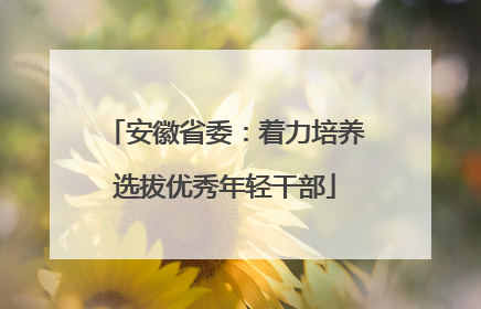 安徽省委：着力培养选拔优秀年轻干部