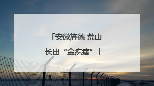 安徽旌德 荒山长出“金疙瘩”