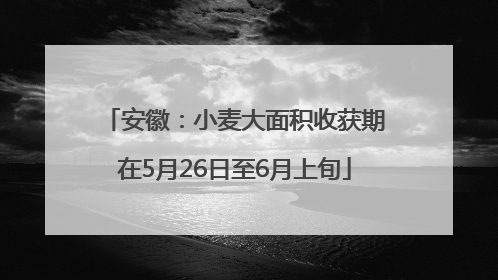 安徽：小麦大面积收获期在5月26日至6月上旬