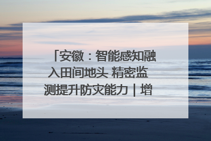安徽：智能感知融入田间地头 精密监测提升防灾能力｜增发国债气象项目落地见效系列报道