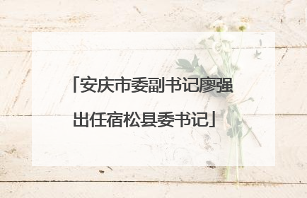 安庆市委副书记廖强出任宿松县委书记