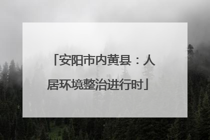 安阳市内黄县：人居环境整治进行时