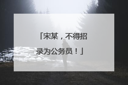 宋某，不得招录为公务员！