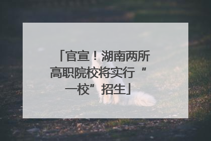官宣！湖南两所高职院校将实行“一校”招生