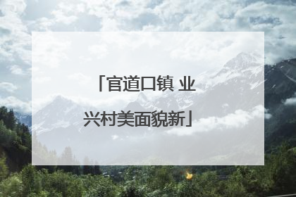官道口镇 业兴村美面貌新
